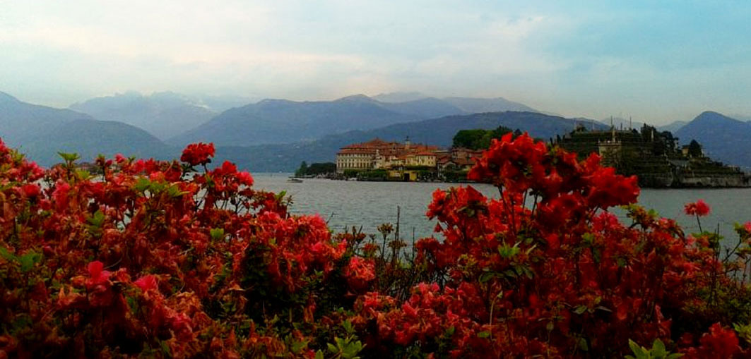 Azalee Lago Maggiore - B&B Mamma Mia